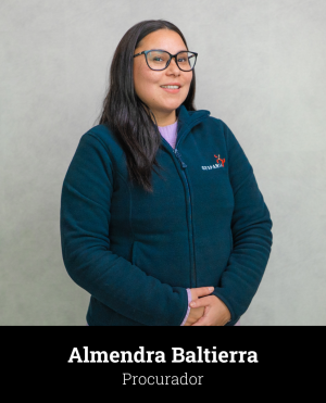 equipo_Almendra-1