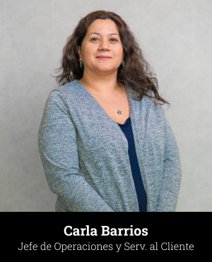equipo_Carla-1
