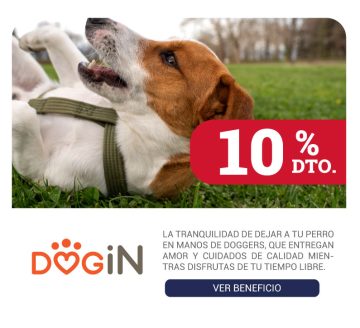 banner-dogin2